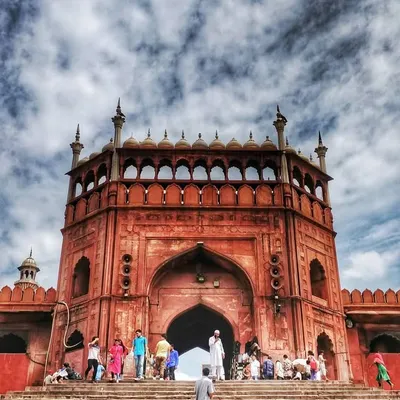 Dhakkad Delhi profile