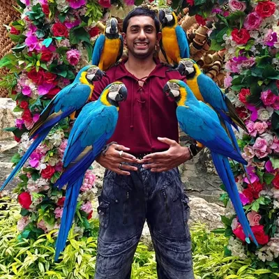 Dhanush Pranav