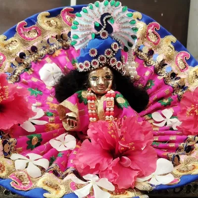 Shyam Sundar Ansh profile
