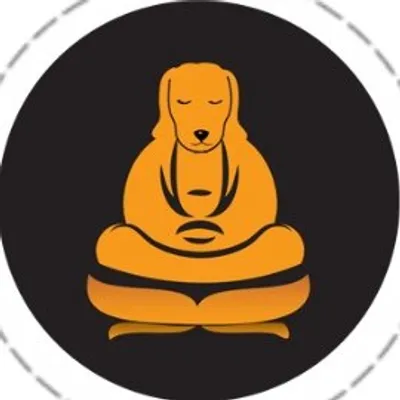Dharma Dog 🐶 Vancouver🇨🇦 profile
