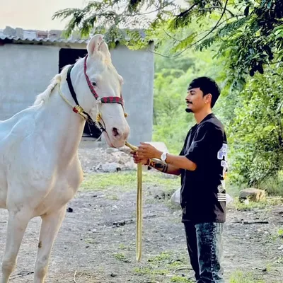 ๐๐ ๐ณ๐ท๐ฐ๐
๐ผ๐ด๐
๐ท ๐
๐ฐ๐
๐ป๐
๐๐ profile