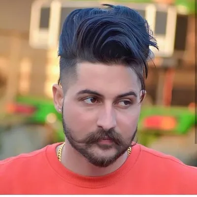 Dhillon profile