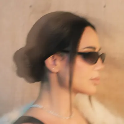 Diana Haddad profile