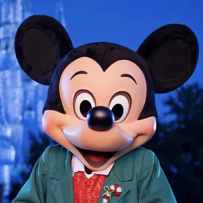 Dicas de Orlando e Região profile