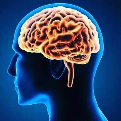Did you know facts profile