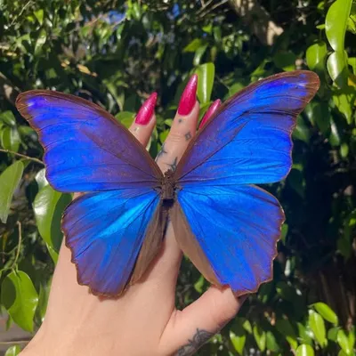 Diddy Long Legs 🦋 profile