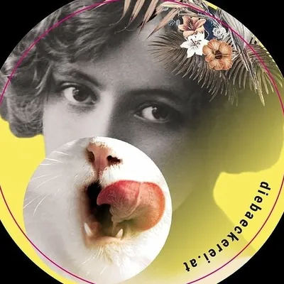 Die Bäckerei Kulturbackstube profile