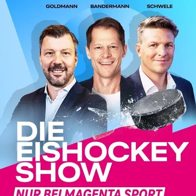 DieEishockeyShow profile