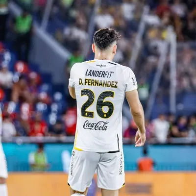 Diego Fernández profile