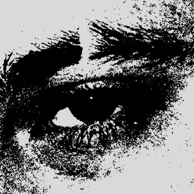 Arquero profile