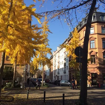 DieNeustadt & Mainz profile