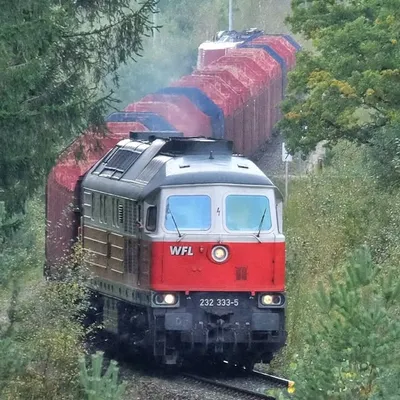 DieZugGang 123 profile