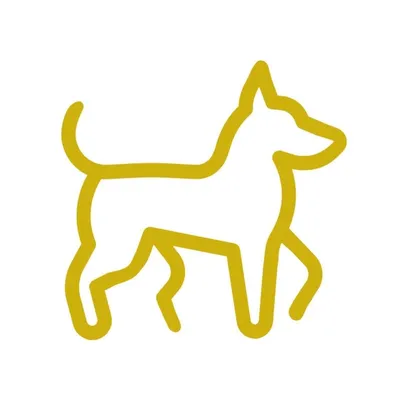 Your Favourite Dog Videos profile