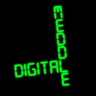 Digital Meddle profile