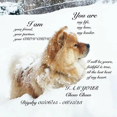 🐾🐶Digsby's Woof Pack 🐶🐾 profile