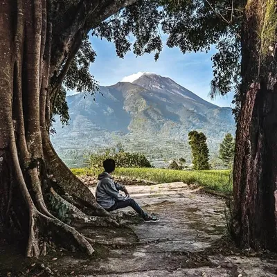 Diky Budiyanto profile