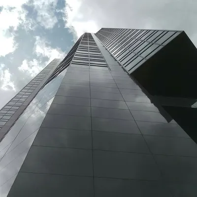 profile