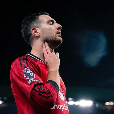 Diogo Dalot profile