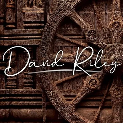 David | A Traveller in India profile