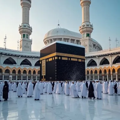 نديم شيخ profile
