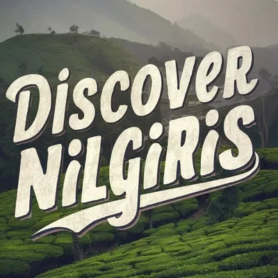 Discover Nilgiris profile