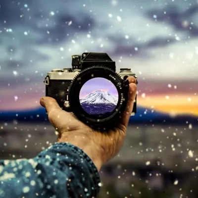 Discovery_Landscapes profile