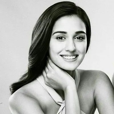 DISHAPATANIDIARY profile
