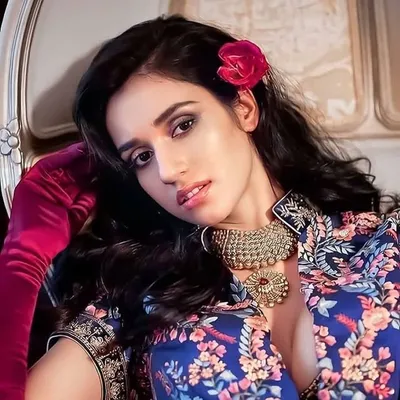 dishapatani profile