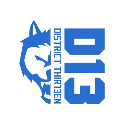 District 13 profile