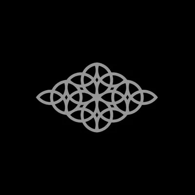 D I V E N T I O N profile