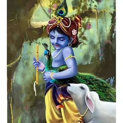 divya_dhameliya profile