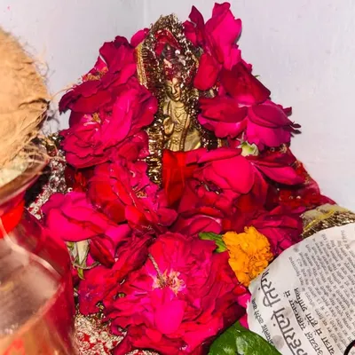 ꧁༺Divya༻꧂ profile