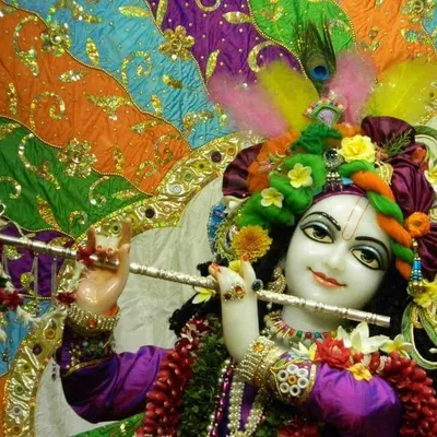 Divyanka Thripathi profile