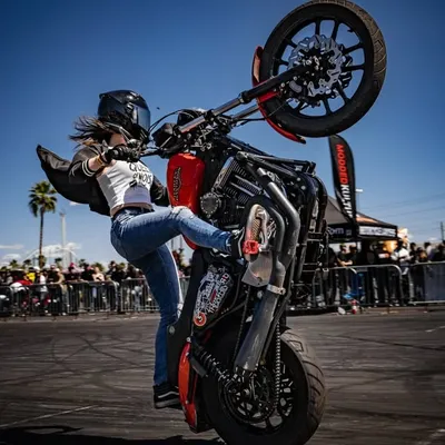 Dizzy Stunts profile