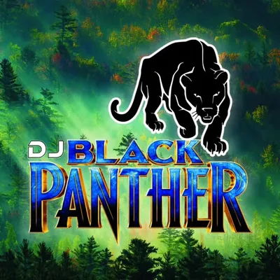DJ BLACK PANTHER +919877862786 ,+917717252786 profile