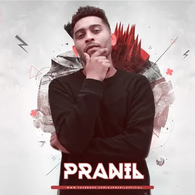DJPranil profile