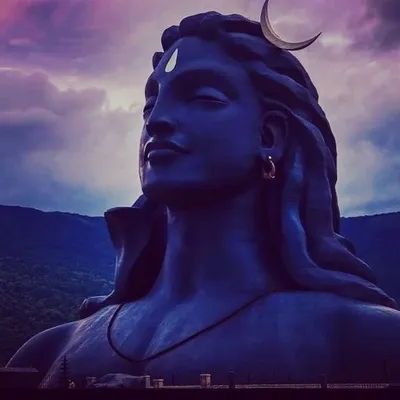 anirud Siddhartha Sharma profile