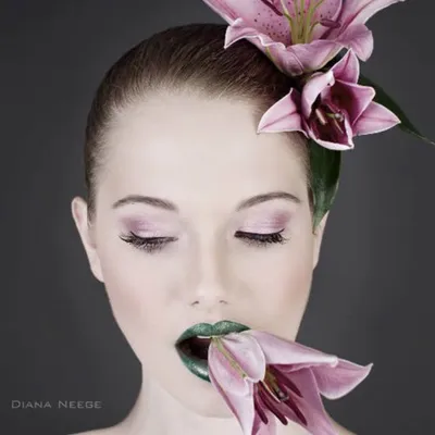 D.N Photography profile