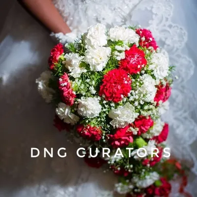 D&G Curators profile
