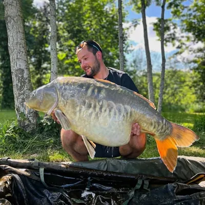 Dorian Perret profile