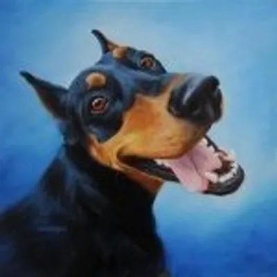 Doberman Pinscher profile