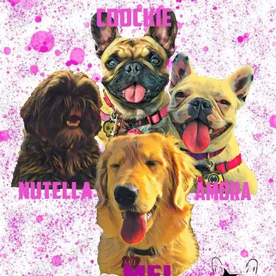 Doces Fucinhos profile