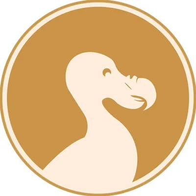 DODO TRENDS profile