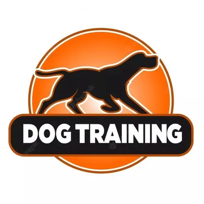 Dogi Training Time profile