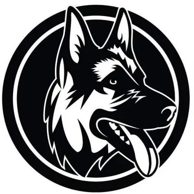 German Shepherd Service Dog profile