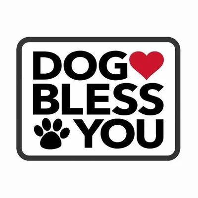 Dog Bless You profile