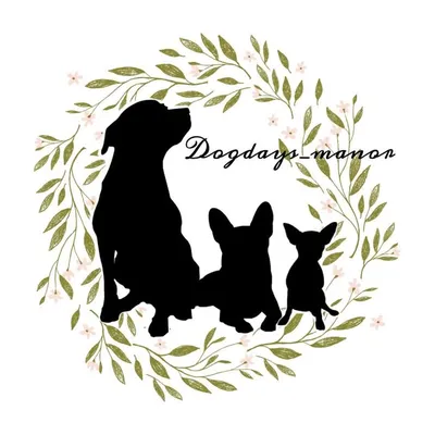 Katelyn | Dogs And Decor🌿 profile