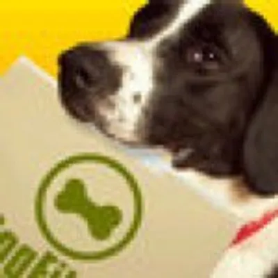 Dog Files profile