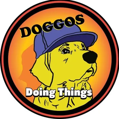 Doggos Doing Things profile