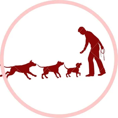 In a Search Of Dog's World profile